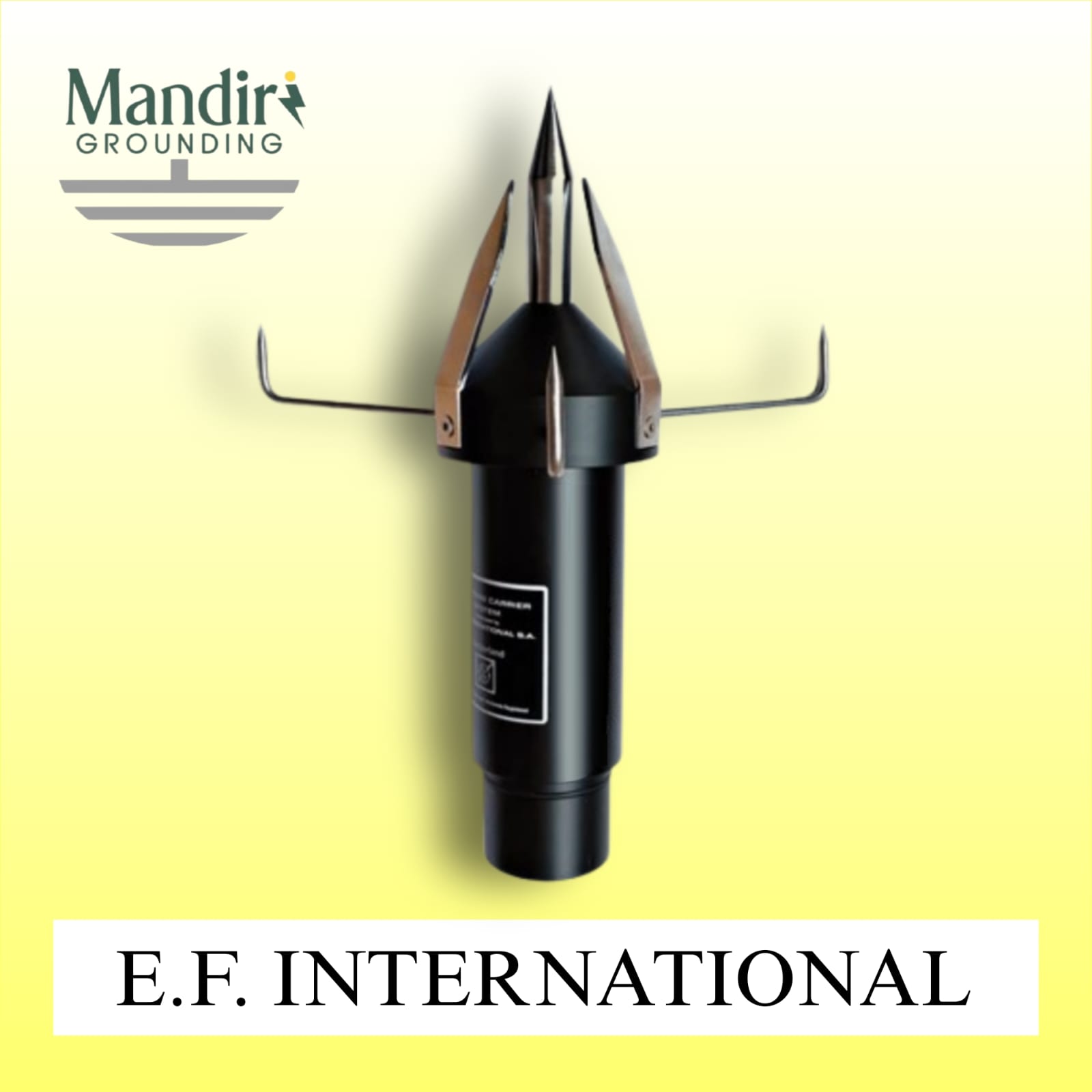 E.F. INTERNATIONAL-image